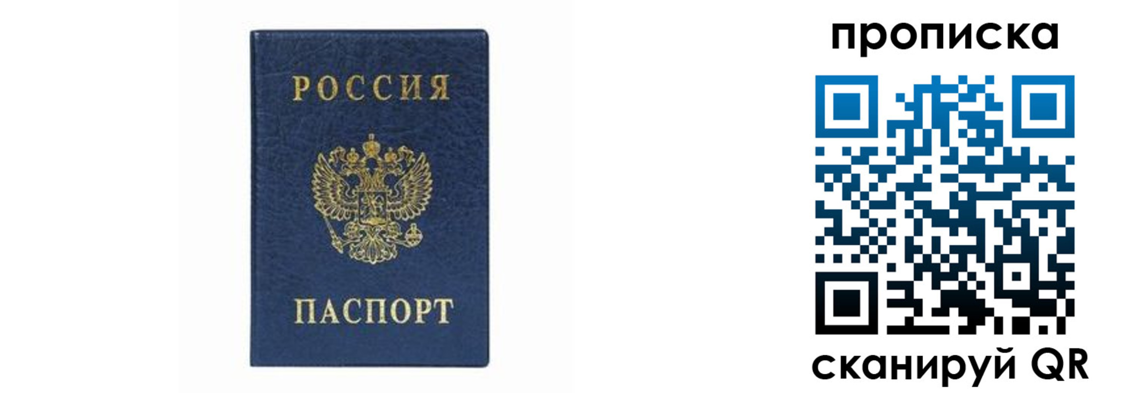временная регистрация поиск в Холмске